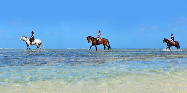 Secluded horse riding on the riambel beach (2)